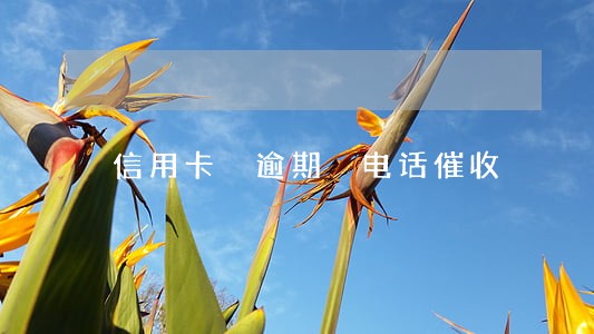 信用卡 逾期 电话催收 信用卡 逾期 电话催收
